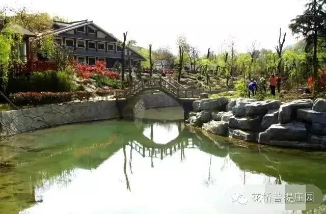 這個(gè)周末，隴南康縣花橋有大事要發(fā)生？