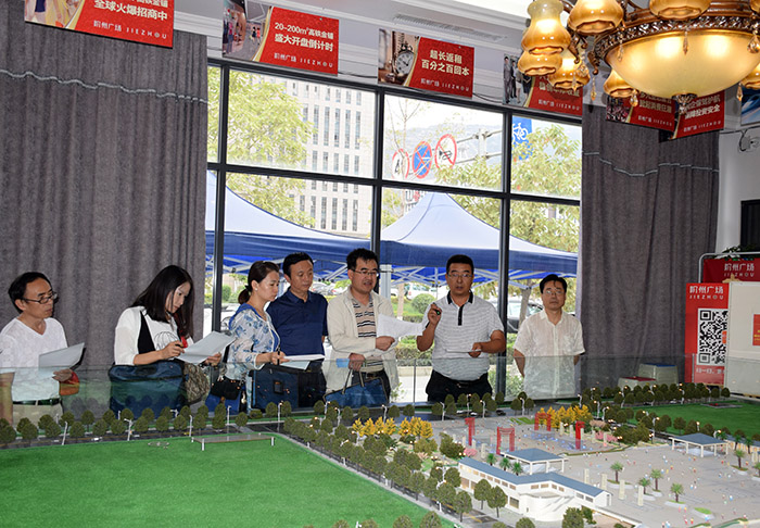 省、市聯(lián)合工作組蒞臨階州廣場檢查指導工作