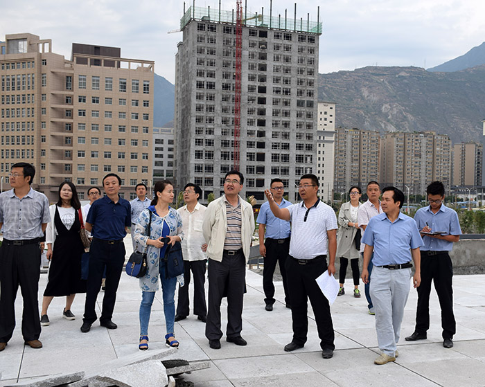 省、市聯(lián)合工作組蒞臨階州廣場檢查指導工作