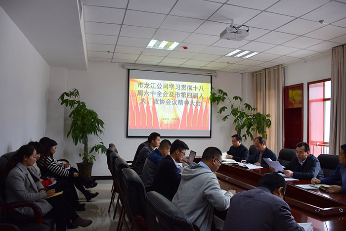市龍江公司召開全體員工大會，專題傳達學習上級會議精神