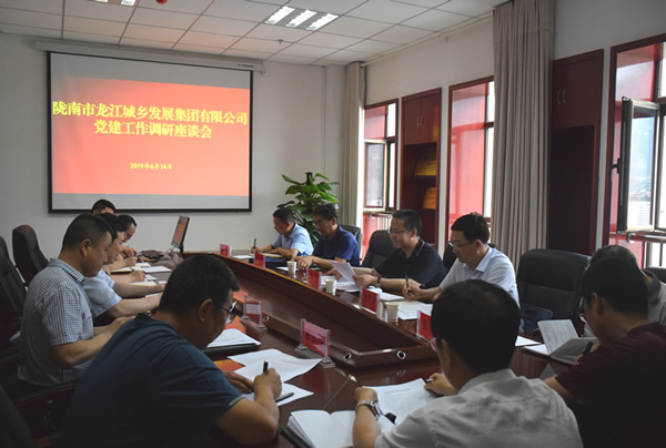 隴南市委常委、組織部部長楊郃調(diào)研指導市龍江城鄉(xiāng)發(fā)展集團公司黨建工作